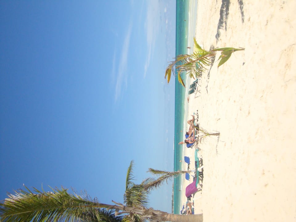 Hotel Catalonia Playa Maroma Catalonia Playa Maroma