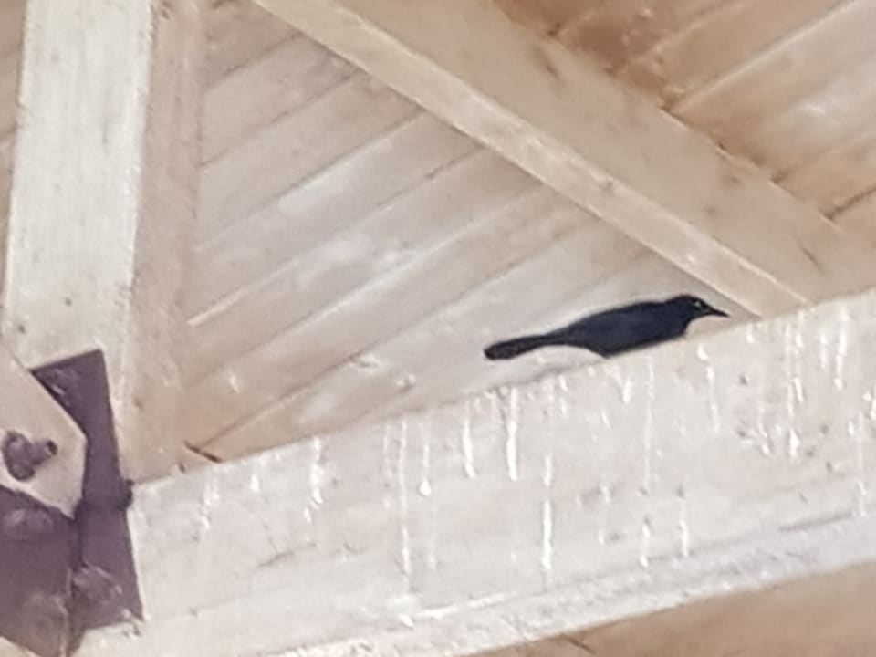 Sonstiges Hotel Playa Pesquero