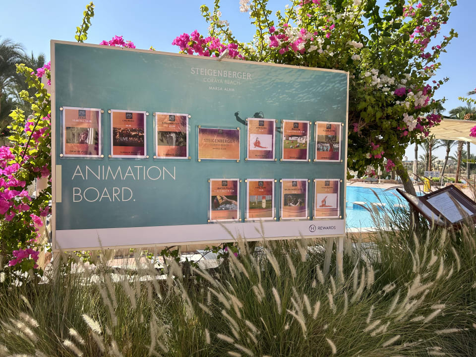 Sport & Freizeit Steigenberger Coraya Beach - Adults only