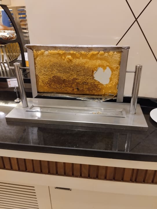 Gastro Aydinbey Kings Palace & Spa