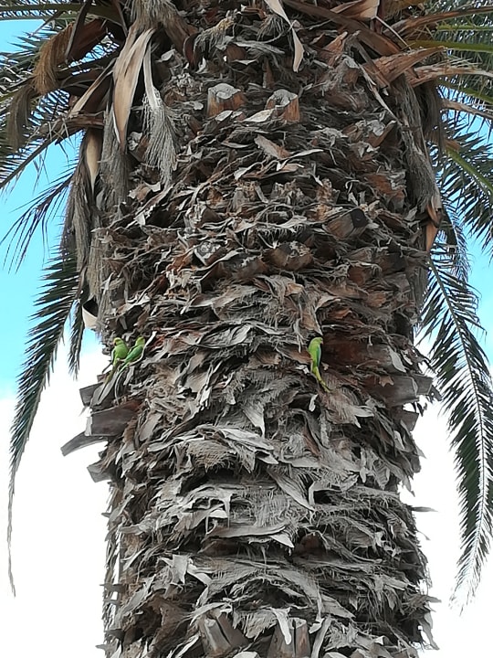 Sonstiges Hotel Las Costas