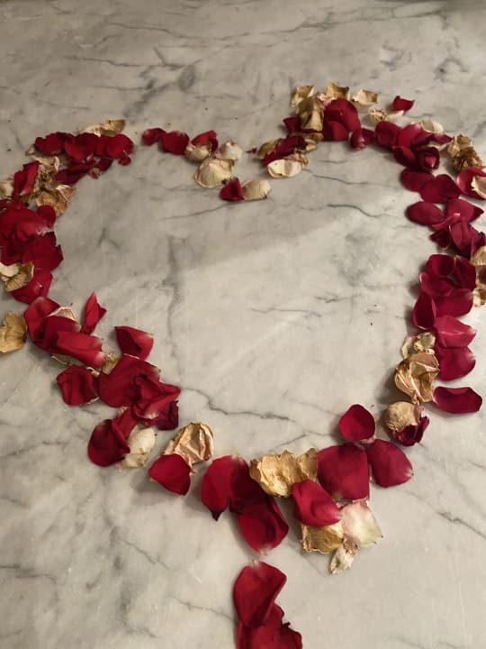 Zimmer TUI MAGIC LIFE Penelope Beach