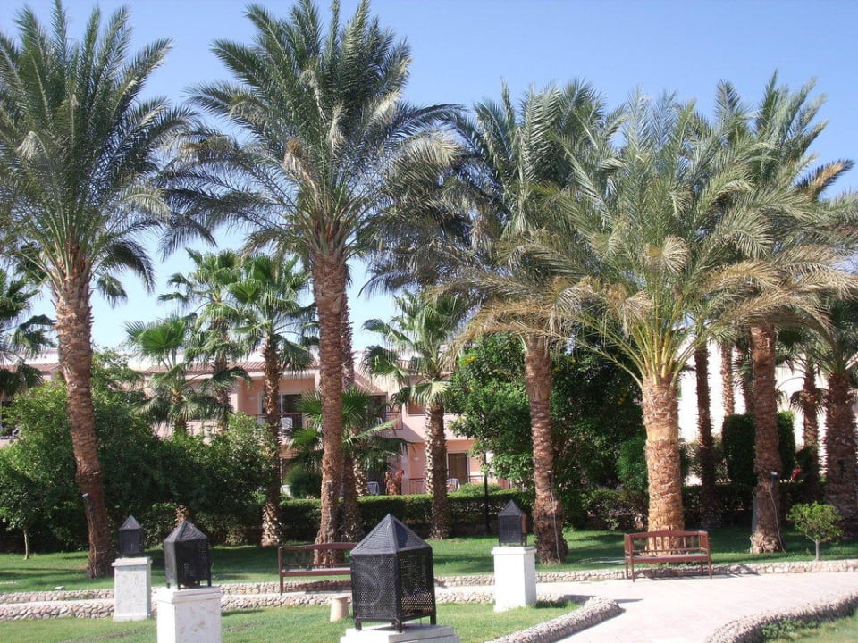 Sehr gepflegte Anlage Beach Albatros Resort