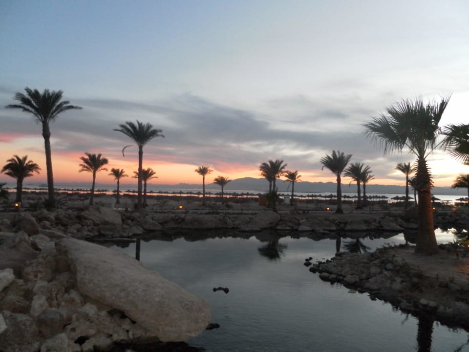 Sonata and classic music area ROBINSON SOMA BAY