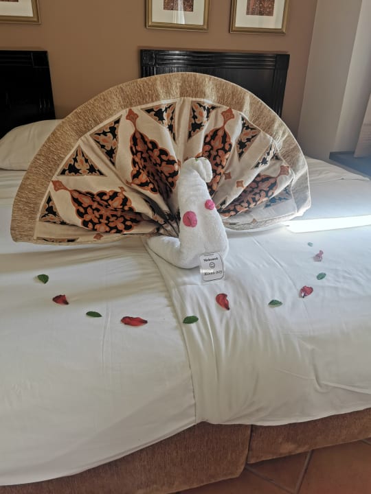 Zimmer Steigenberger Coraya Beach - Adults only