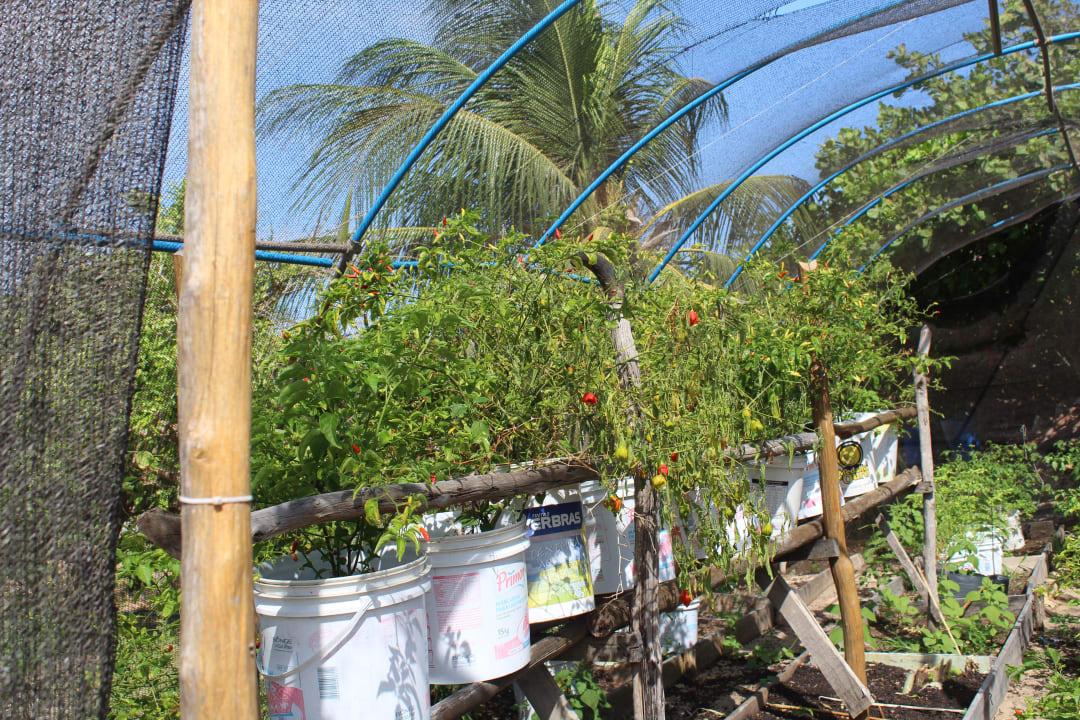 Gartenanlage Casa de Caboclo