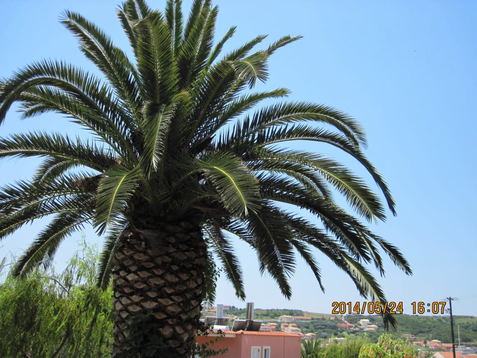 Palma Apartments Mikelis