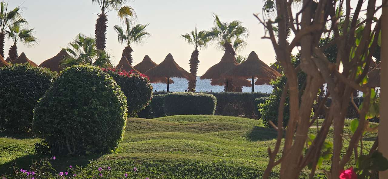 Gartenanlage Lotus Bay Beach Resort