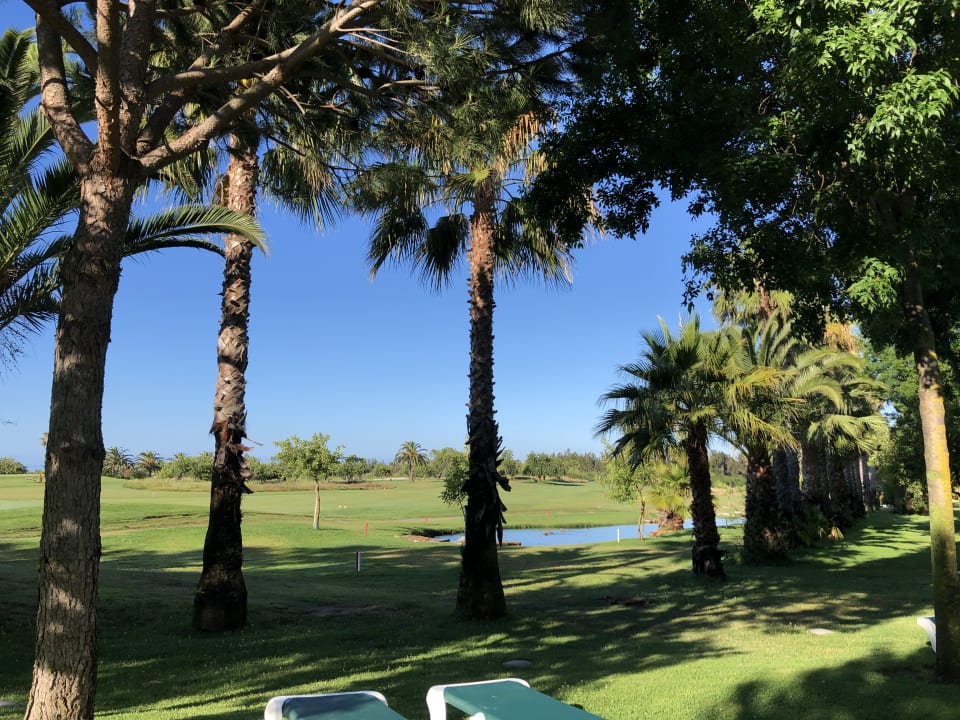 Garten ROBINSON QUINTA DA RIA