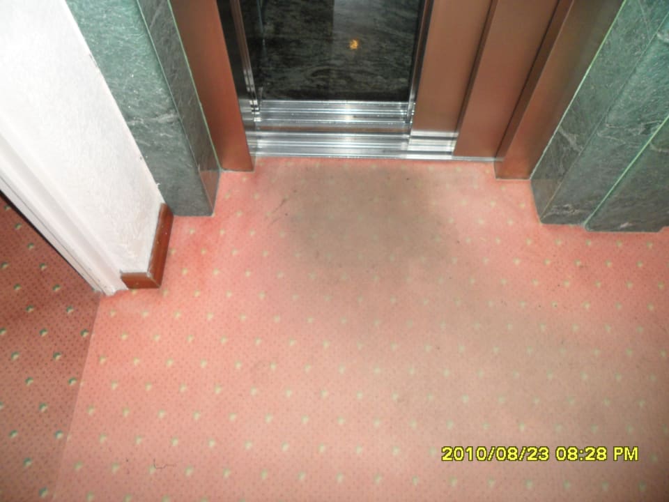 Czystość Reverence Life  - Adults only