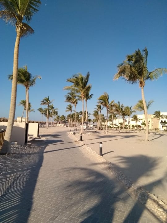 Gartenanlage Salalah Rotana Resort