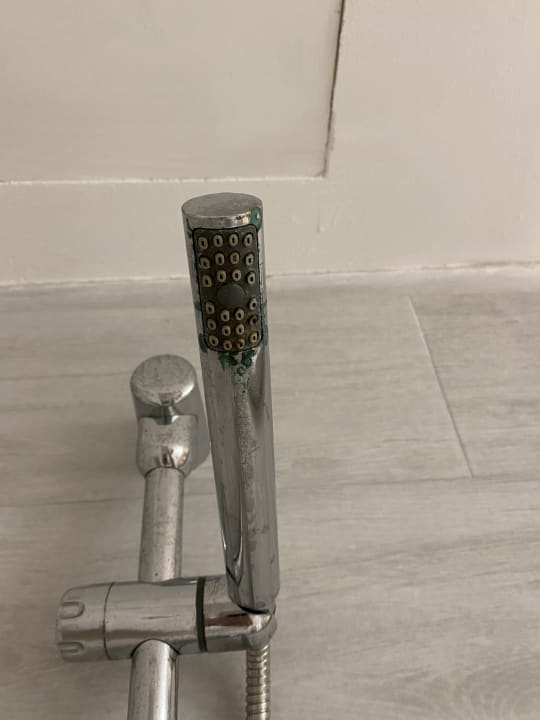 Zimmer Alcudia Garden Aparthotel