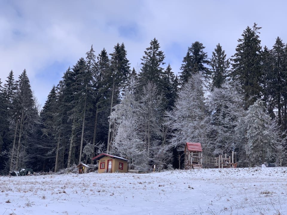 Ausblick Waldhotel am Notschreipass