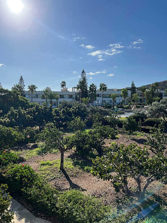 Außenansicht Hotel Aphrodite Beach