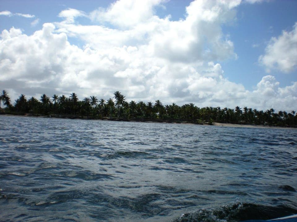 Sicht aus dem Meer Catalonia Royal Bavaro - Adults only