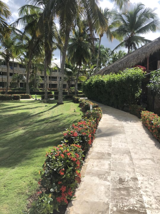 Garten Hotel Viva Dominicus Beach by Wyndham - All Inclusive Resort