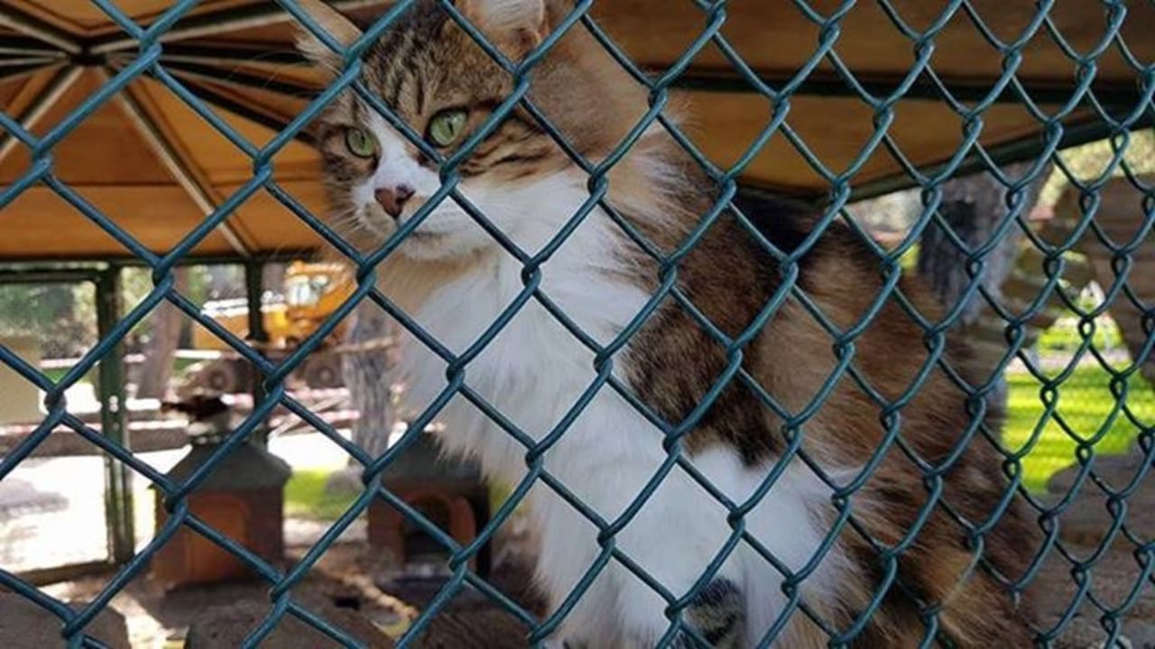 Sonstiges Akka Alinda Hotel