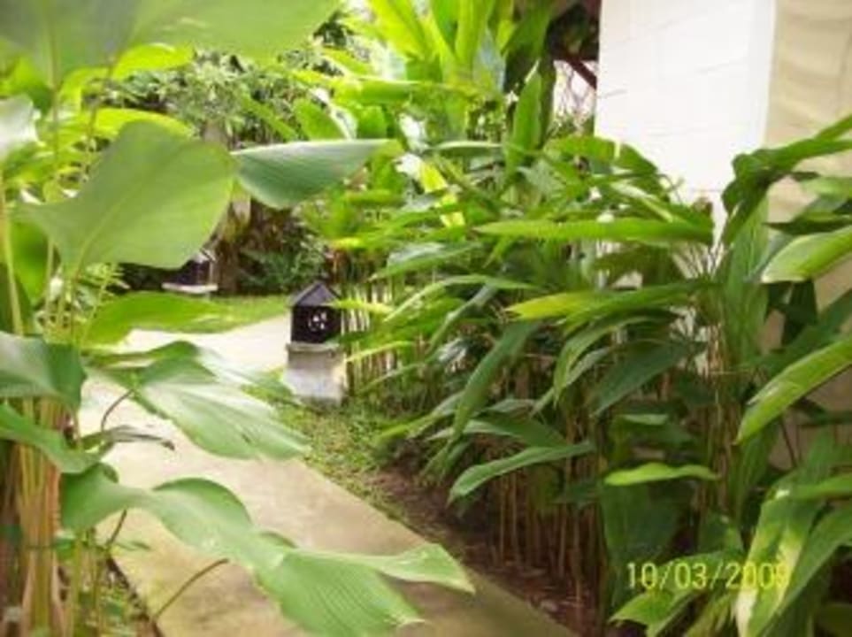 Durch die Hotelanlage Rummana Boutique Resort