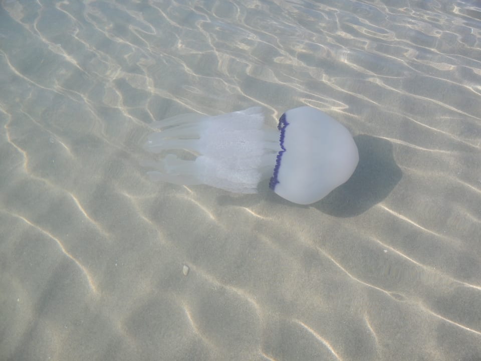 Strand TH Marina di Pisticci | Ti Blu Village