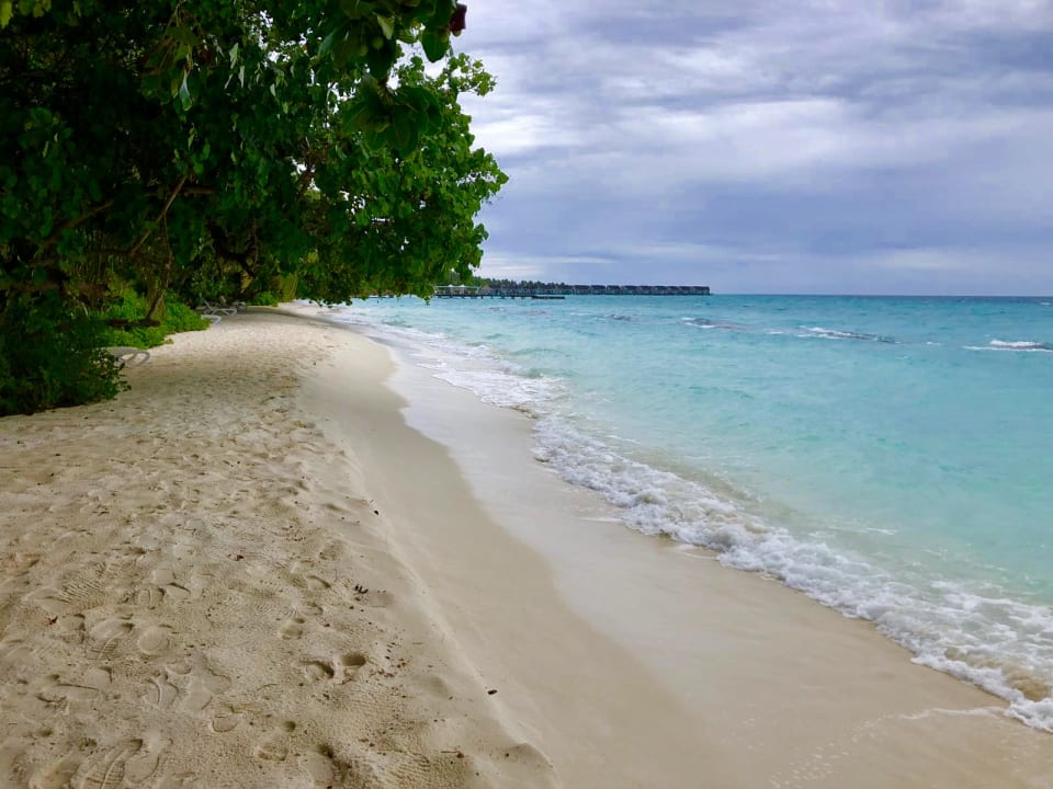 Strand Kuramathi Maldives