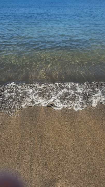 Strand Dreams Jardín Tropical