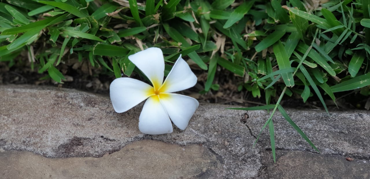 Außenansicht Hotel Southern Palms Beach Resort