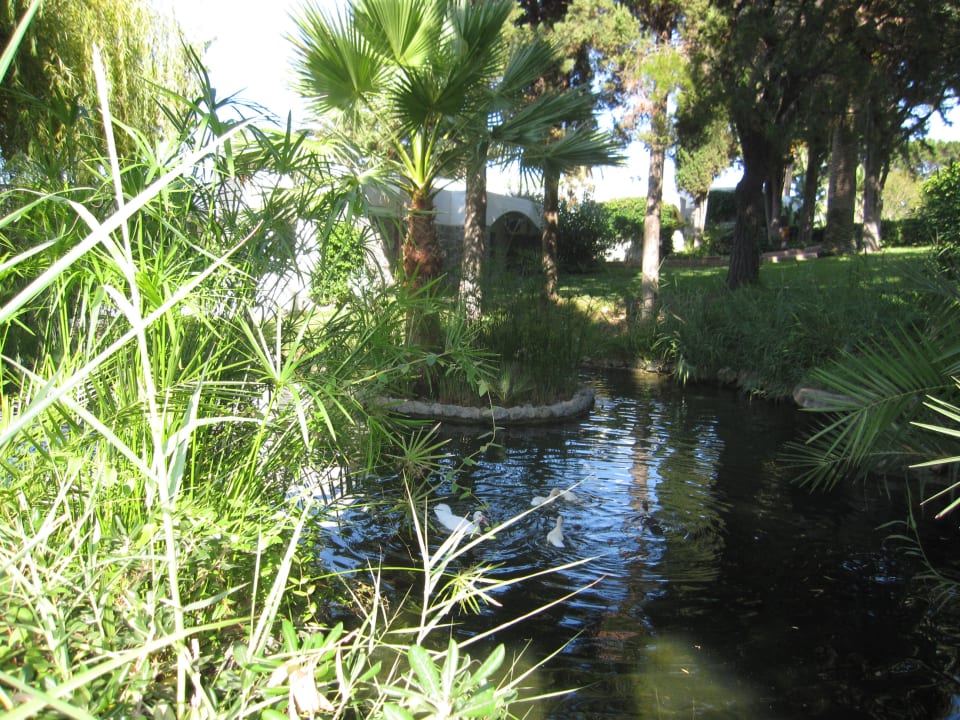 Gartenanlage Aldiana Club Rocca Nettuno Calabria