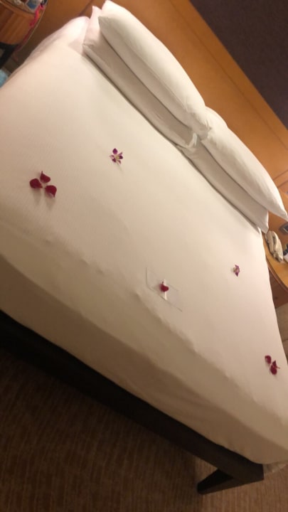 Zimmer Al Raha Beach Resort & Spa