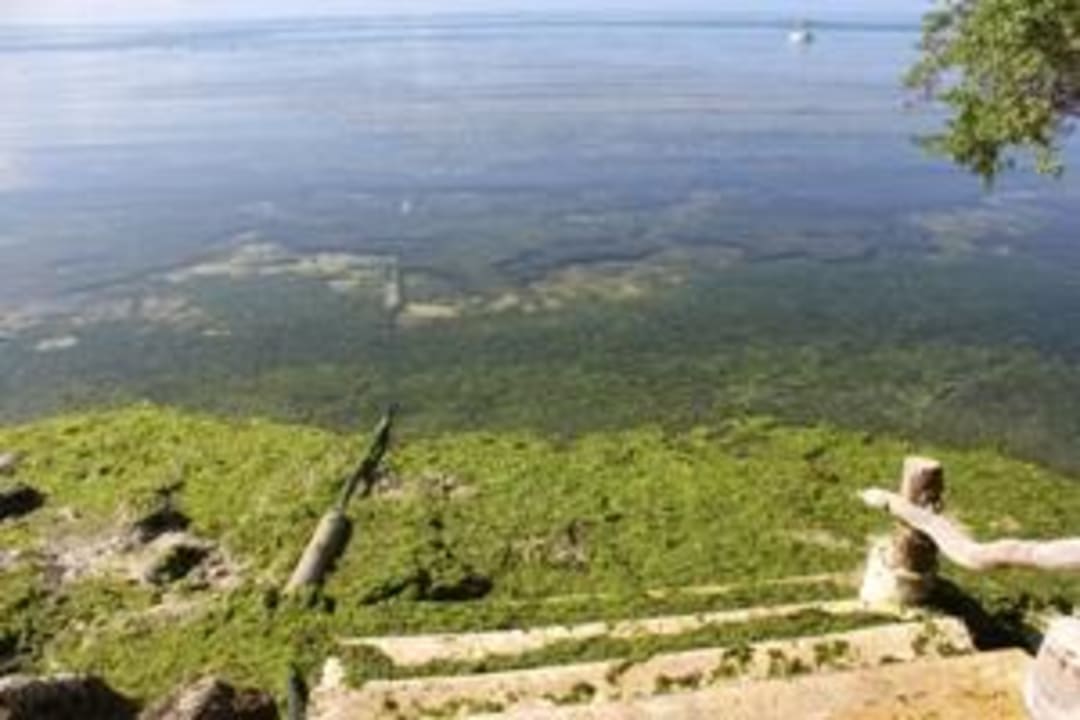 Eingang zum Meer Hotel Bluewater Panglao Beach