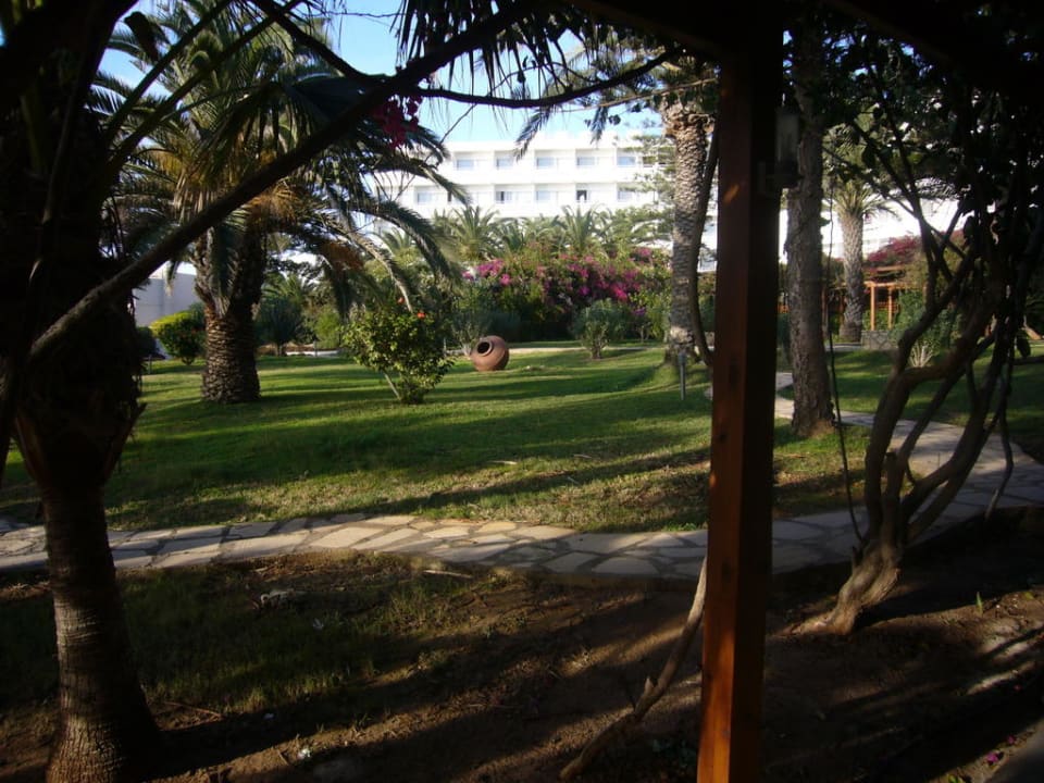 Teilansicht des wunderschönen Gartens Hotel Nissi Beach Resort