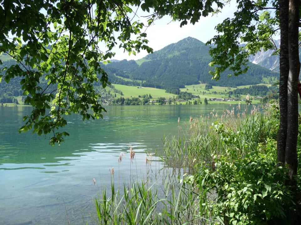 Ausblick Hotel Bellevue am See
