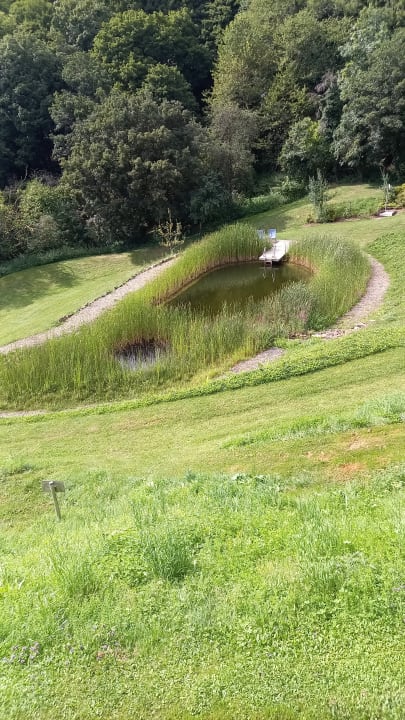 Gartenanlage BELVEDERE - das Bio Hotel garni & SuiteHotel am Edersee