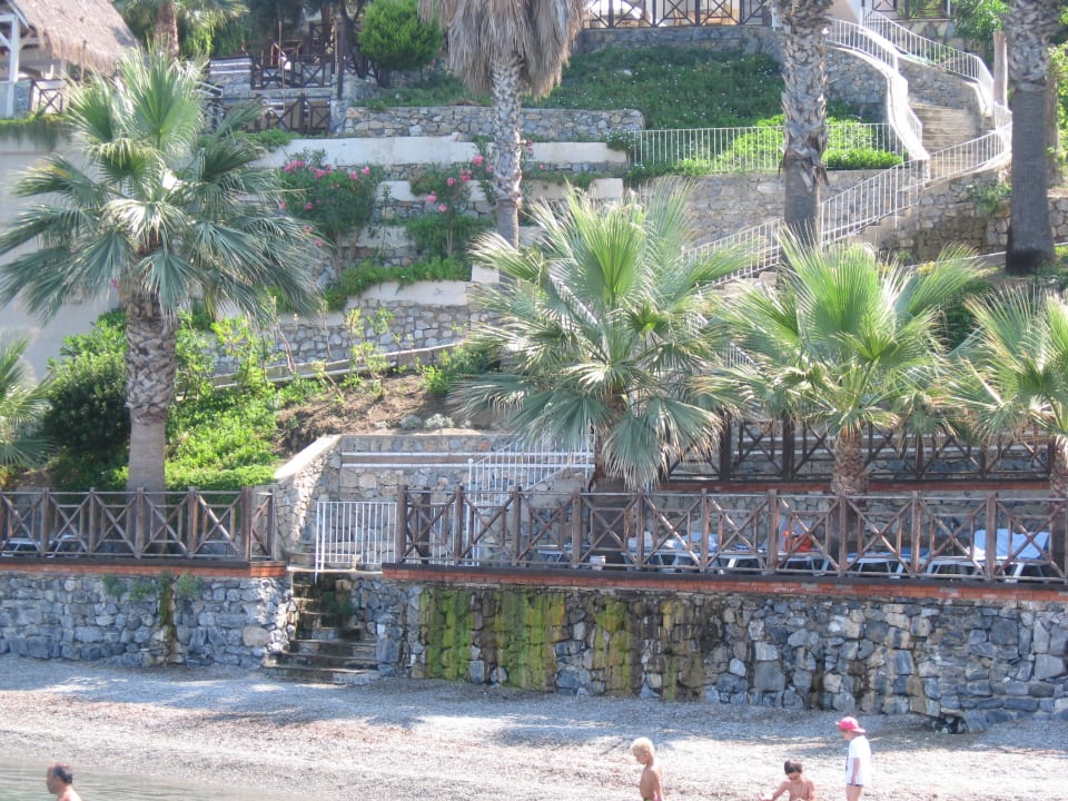 Unser Lieblingsplatz unter den Palmen Ladonia Hotels Adakule