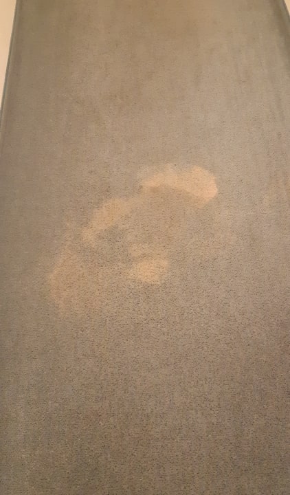 Zimmer Hotel Hasselbarth