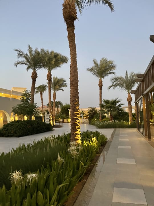 Gartenanlage JAZ Elite Casa del Mar Beach