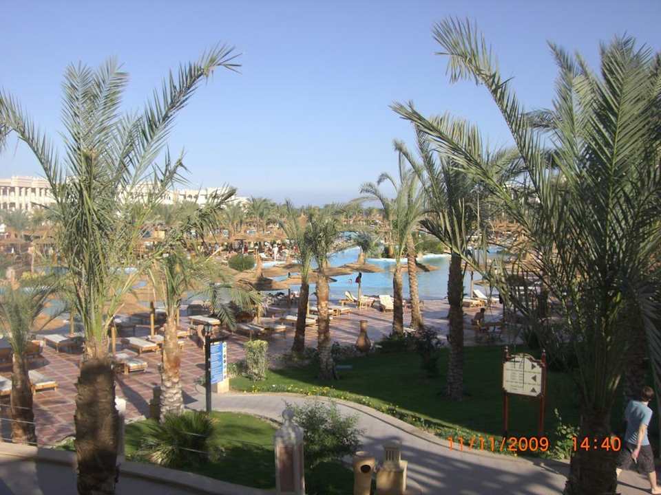 Ausblick Terrasse Pickalbatros Palace Resort