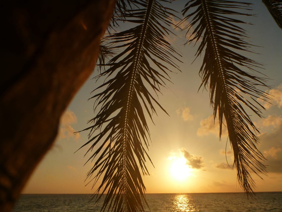 Sonstiges Summer Island Maldives