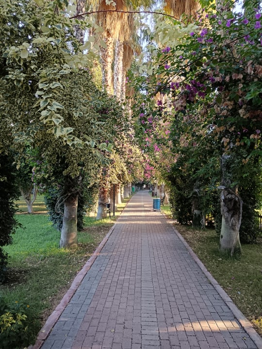 Gartenanlage Hotel Gardenia Beach