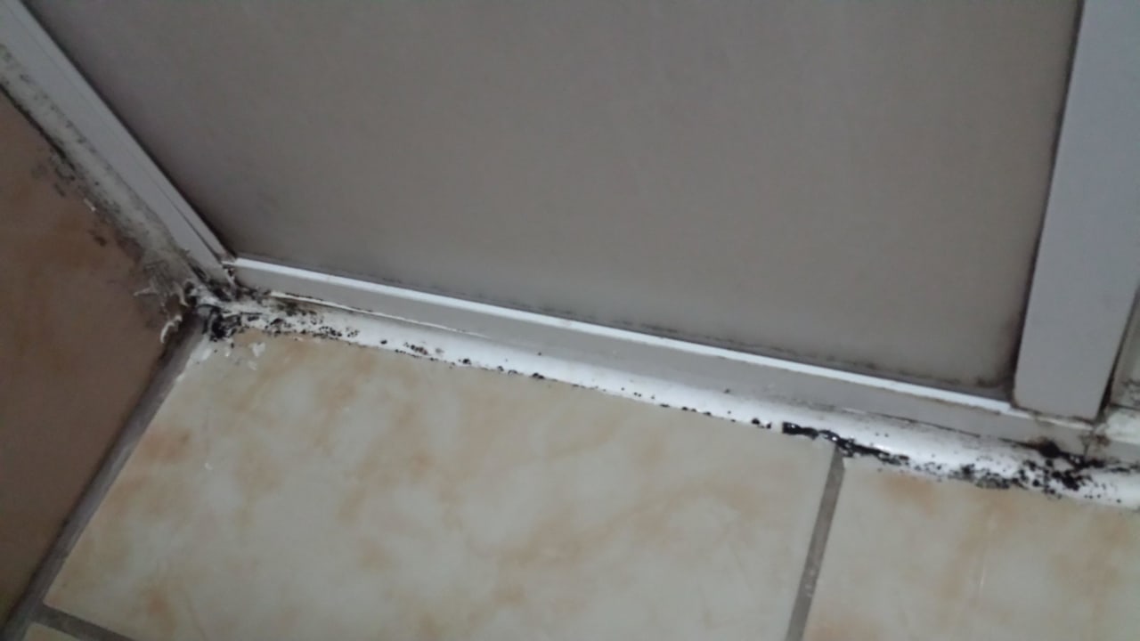 Da geht man doch gerne barfuss Hotel Kleopatra Alis