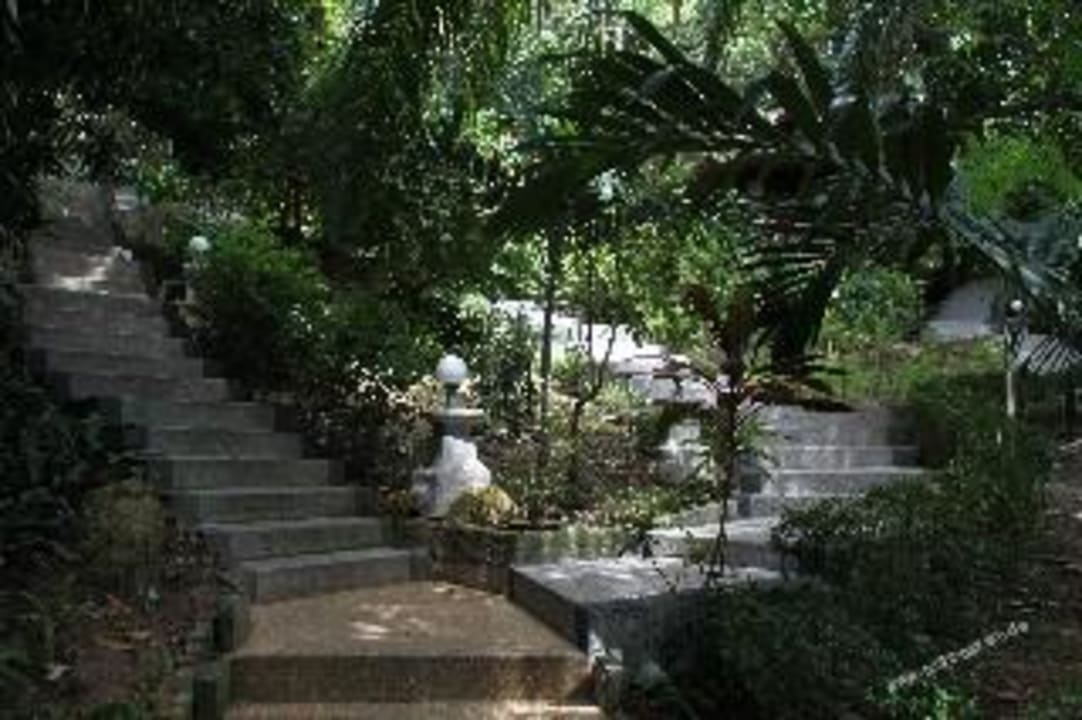 Dschungelwege The Fair House Beach Resort