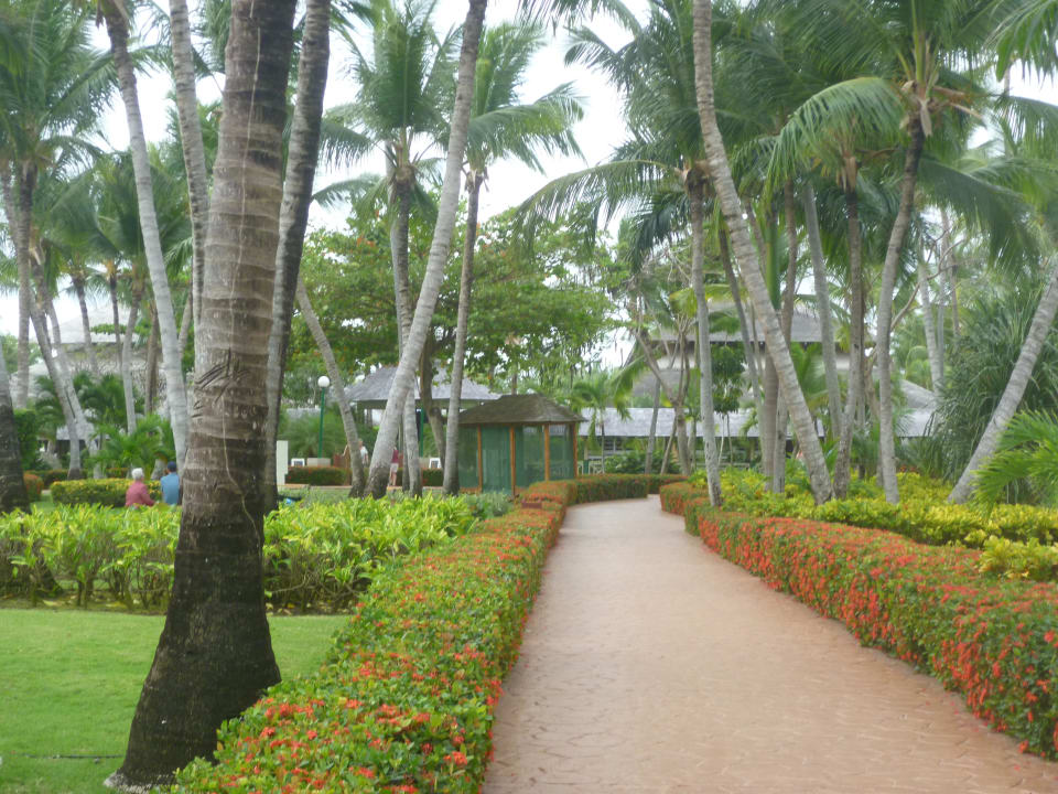 Hotel Iberostar Waves Punta Cana