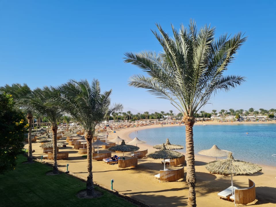 Ausblick Desert Rose