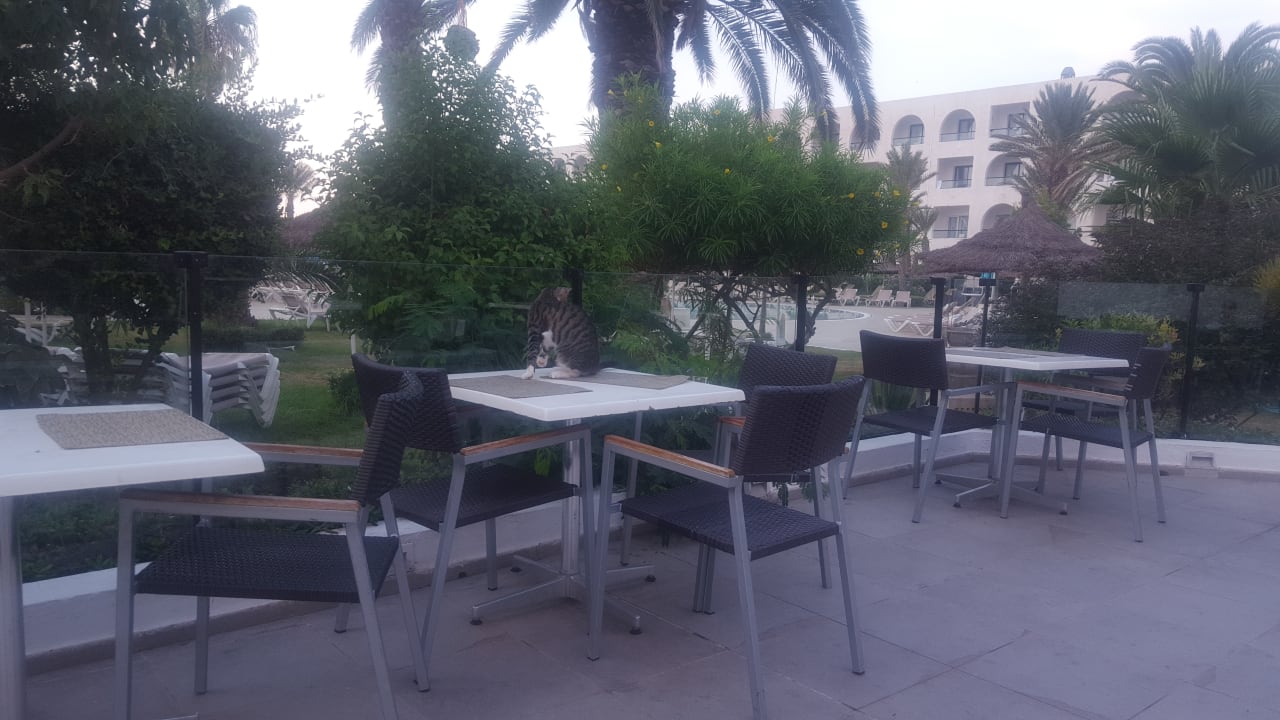Restaurant Nozha Beach Resort & Spa