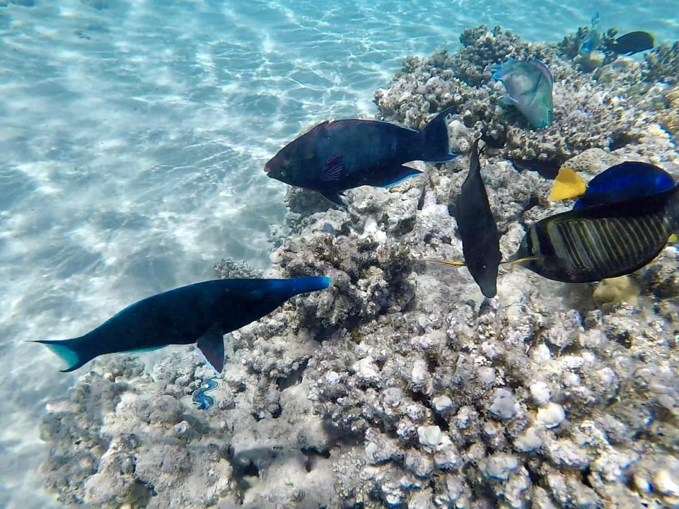 Sport & Freizeit Grand Makadi