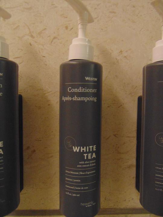 Zimmer Hotel The Westin Chennai Velachery