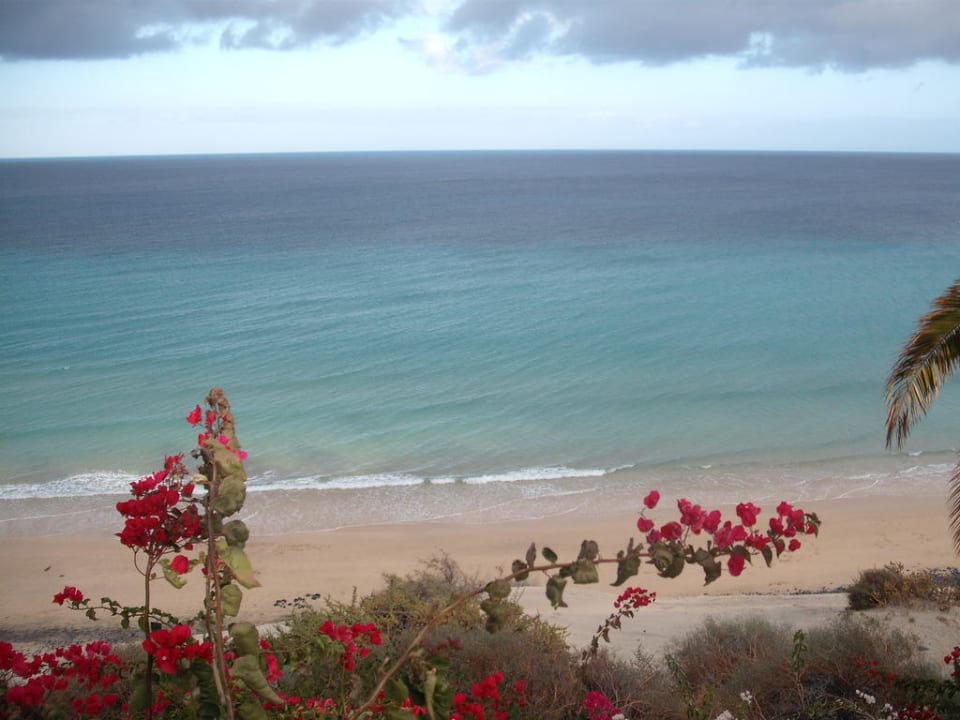 Das Meer SBH Club Paraiso Playa