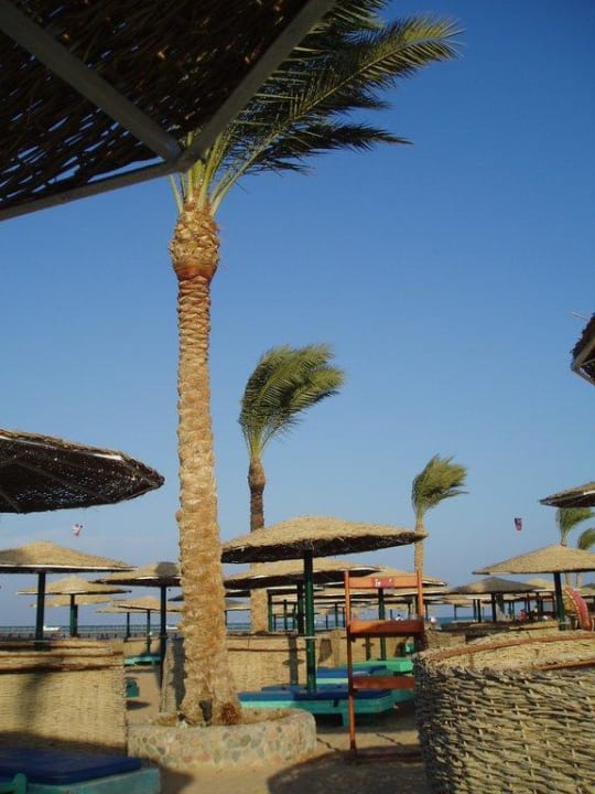 Heute etwas windig Golden Beach Resort