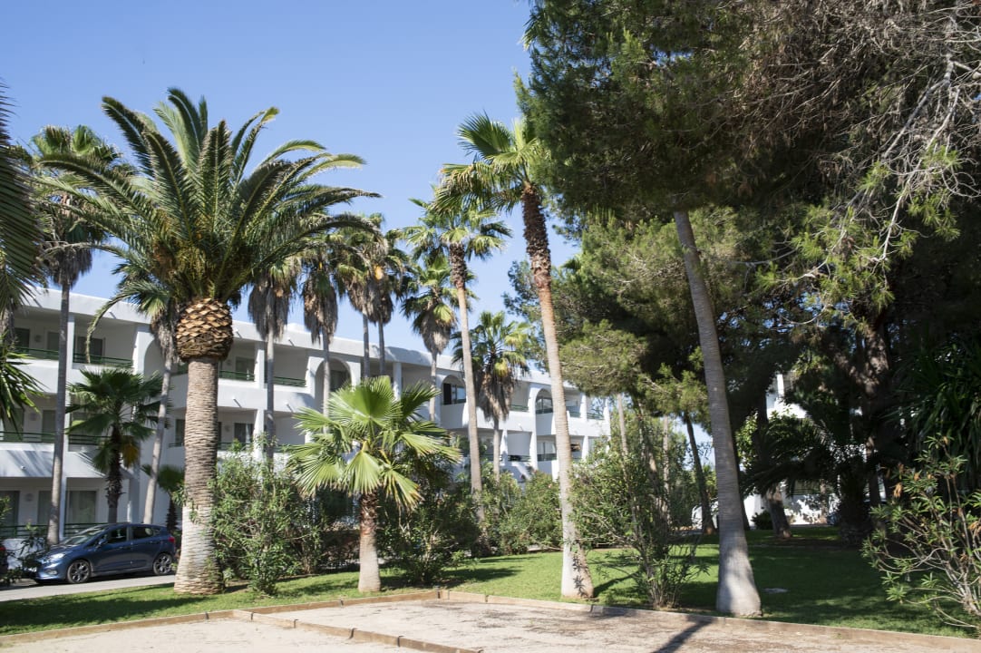 Außenansicht Mallorca Cecilia Apartamentos