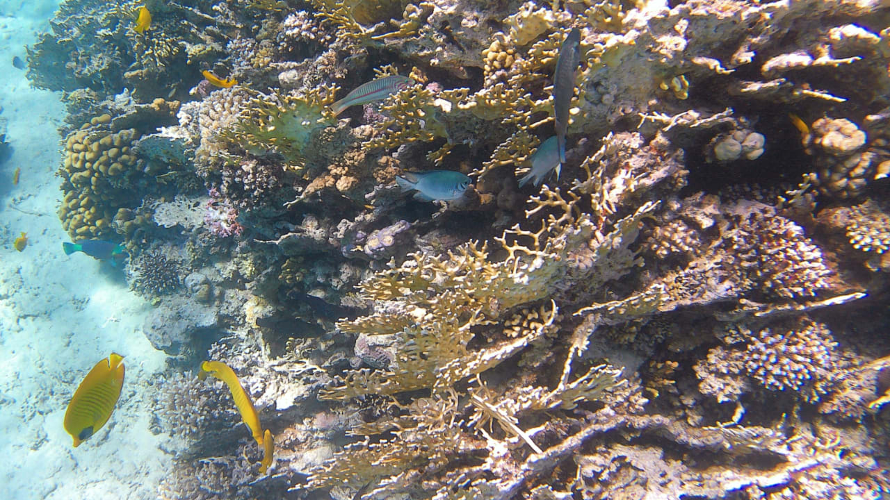 Sport & Freizeit Makadi Spa - Adults only