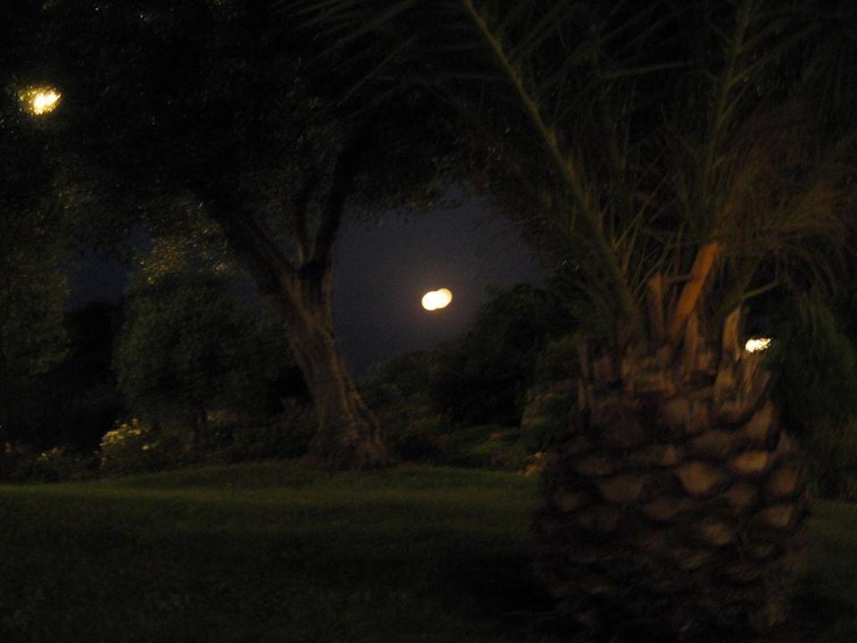 Garten im Mondschein Blue Dolphin Resort Hotel
